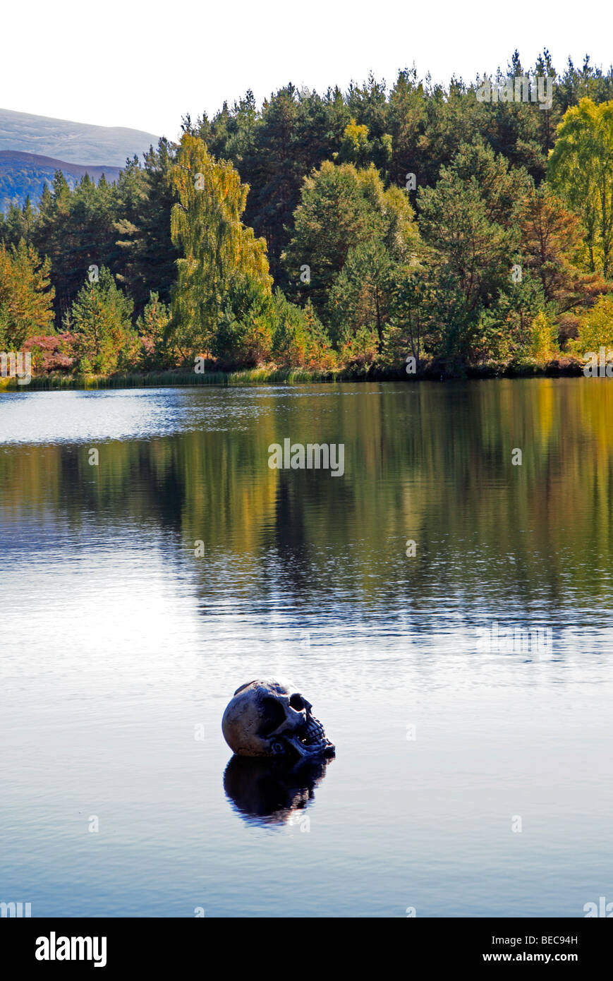 Un cranio flottante e di riflessione in Uath Lochan, vicino a Aviemore, Inverness-shire, Scotland, Regno Unito. Foto Stock