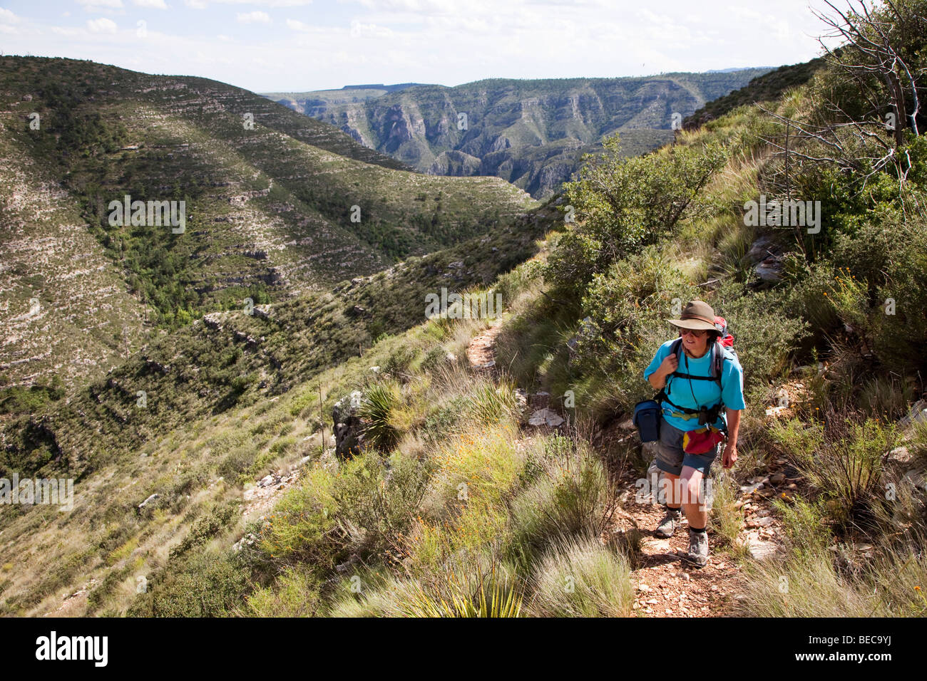 Donna escursioni nelle Montagne Guadalupe Lincoln National Forest area Nuovo Messico USA Foto Stock