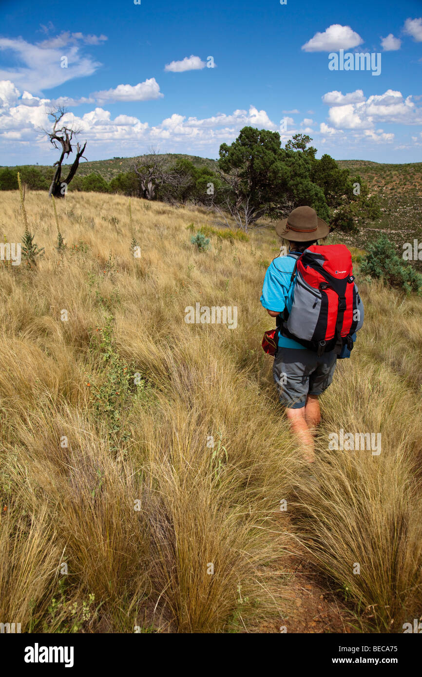Donna escursionismo in erba lunga in Guadalupe Mountains Lincoln National Forest area Nuovo Messico USA Foto Stock