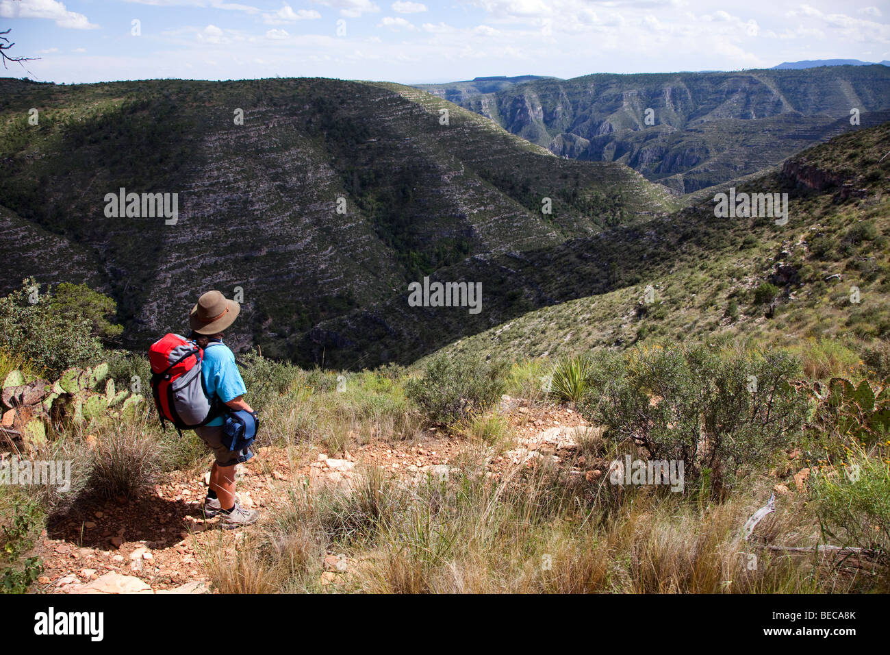 Donna escursioni nelle Montagne Guadalupe Lincoln National Forest area Nuovo Messico USA Foto Stock