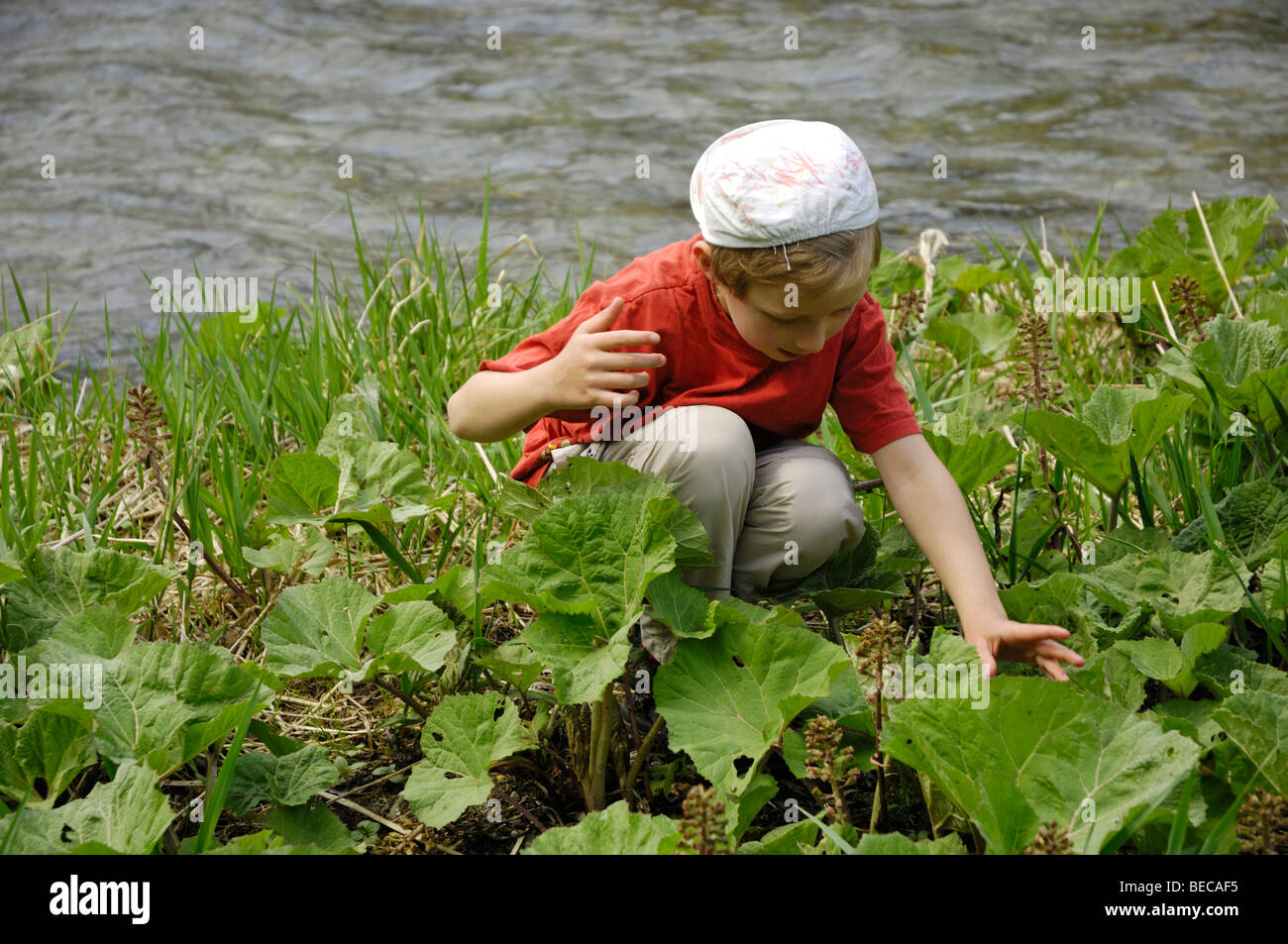 Bambino, 7, seduti in un prato a fianco di un fiume Foto Stock