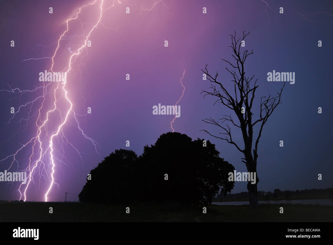 Un fulmine colpisce la terra, alberi accanto a un albero morto Foto Stock