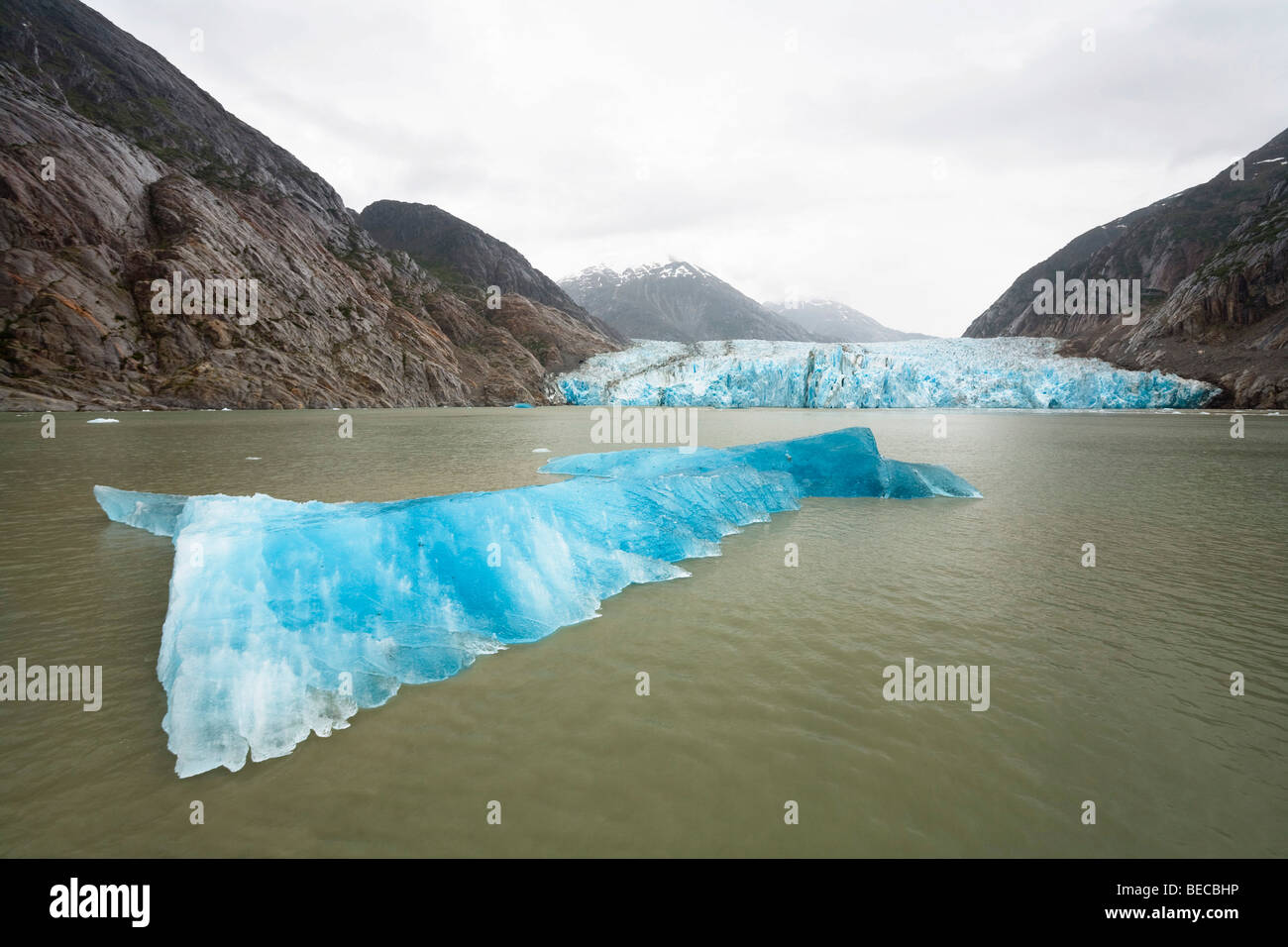 Dawes ghiacciaio, Braccio Endicott, all'interno del passaggio, a sud-est di Alaska, Alaska, Stati Uniti d'America, America del Nord Foto Stock