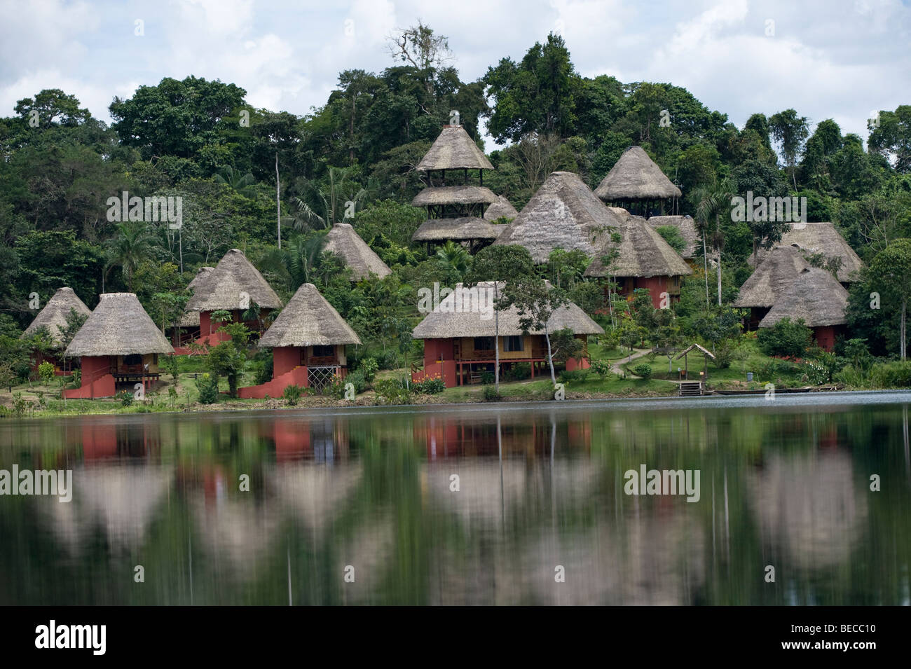 Gli Anangu Napo Wildlife Center della foresta pluviale amazzonica Ecuador America del Sud Foto Stock