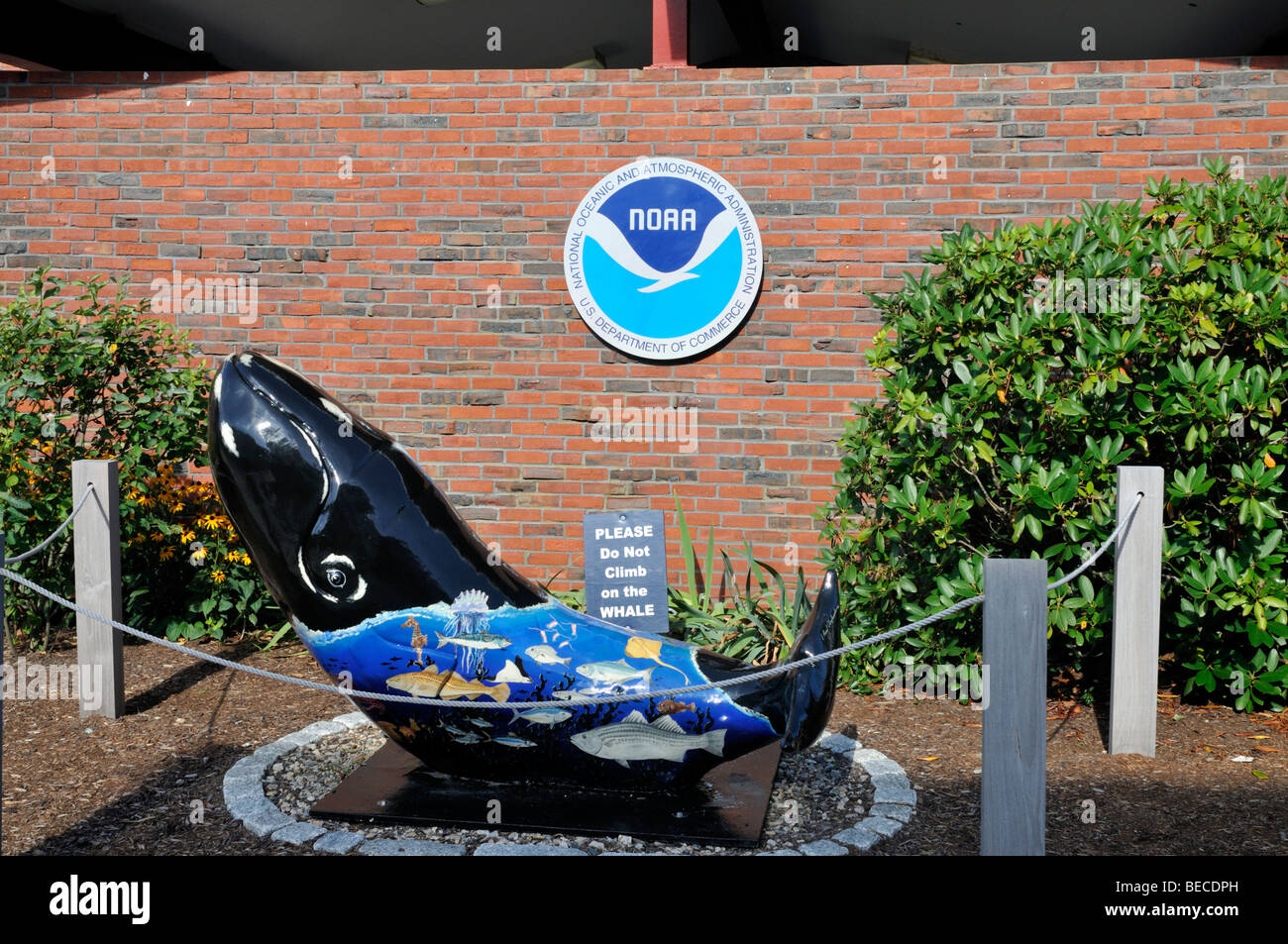 Scultura di balena al di fuori del foro di legni scienza acquario nel villaggio di Falmouth Cape Cod Foto Stock