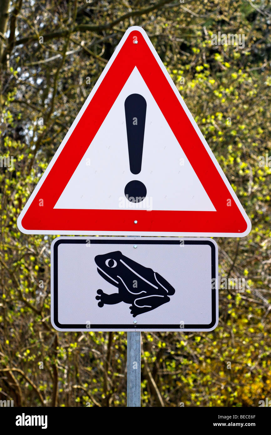 Segno, toad migrazione in primavera, attenzione dei rospi e rane attraversando la strada, la protezione delle specie, Germania Foto Stock