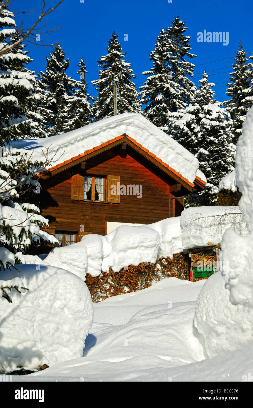 Coperte di neve casa di blocco sul bordo di una foresta, Giura, Svizzera Foto Stock