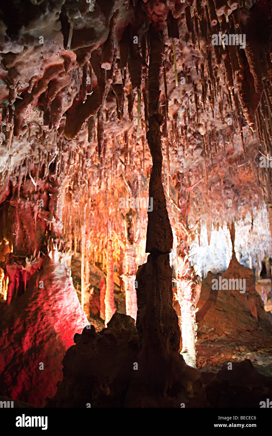 Formazioni di stalattiti in Cuevas dels prosciutti Porto Cristo Mallorca Spagna Spain Foto Stock