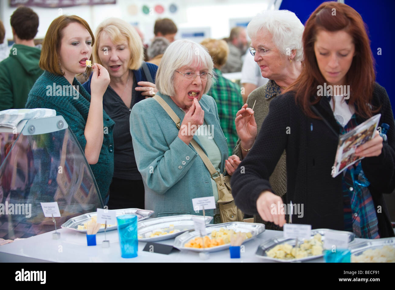 I visitatori di formaggio di campionamento presso il Great British Festa del formaggio Cardiff South Wales UK Foto Stock