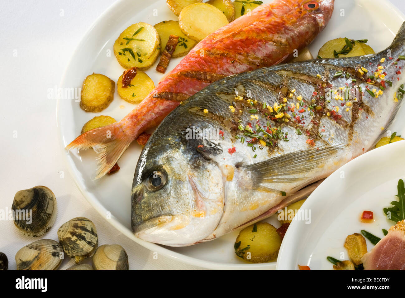 Triglia di scoglio e orata orate Foto Stock