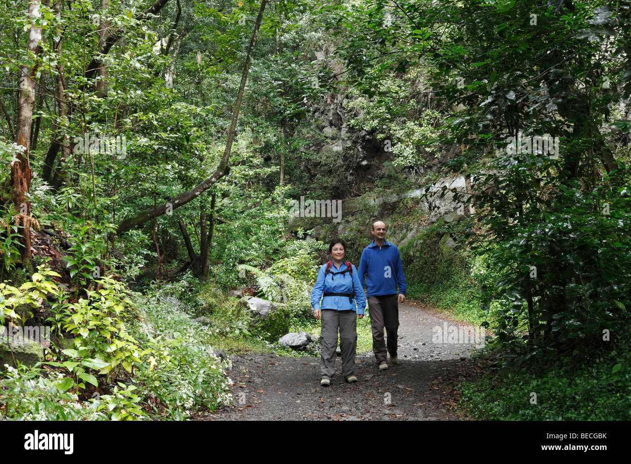 Giovane camminando su un percorso attraverso i boschi, Cubo de la Galga, El Canal y Los Tilos Riserva della Biosfera, La Palma Isole Canarie Foto Stock