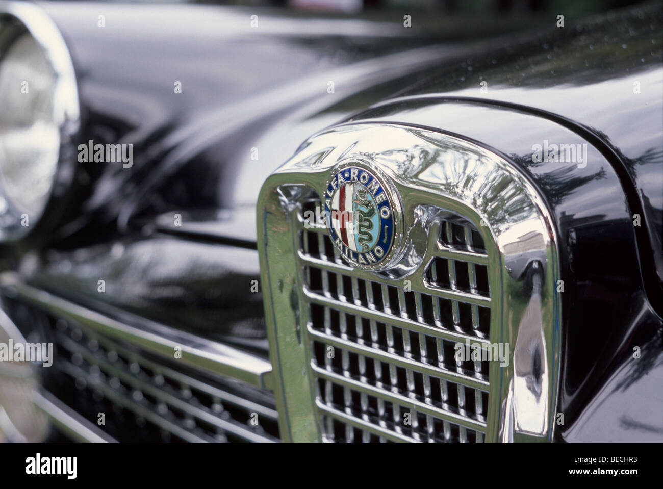 Alfa Romeo badge su un auto d'epoca Foto Stock