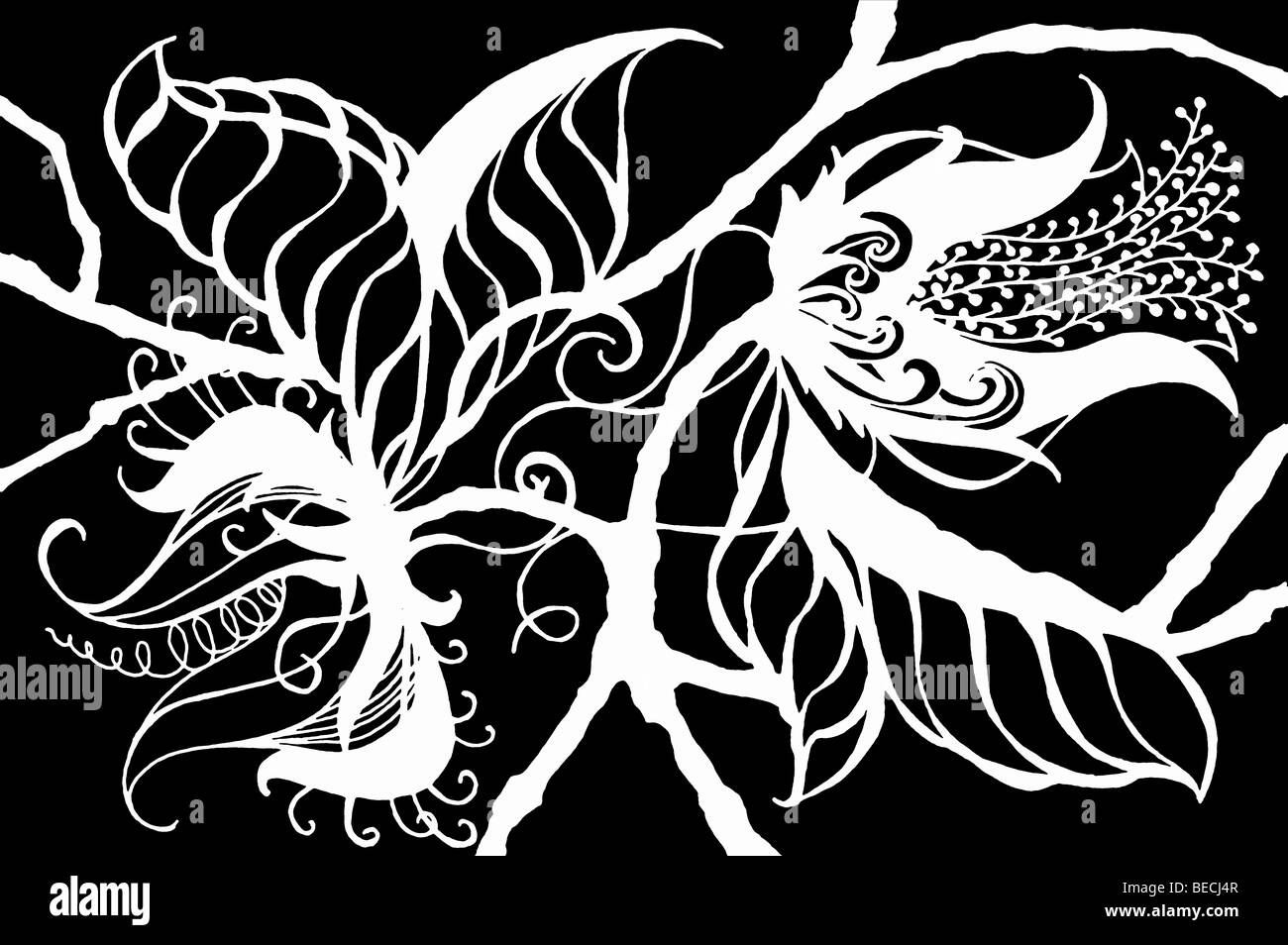 Ripetibile bianco su nero disegno di esotico e fantasiosa fiori di botanica, di foglie e di steli in una profila design Foto Stock