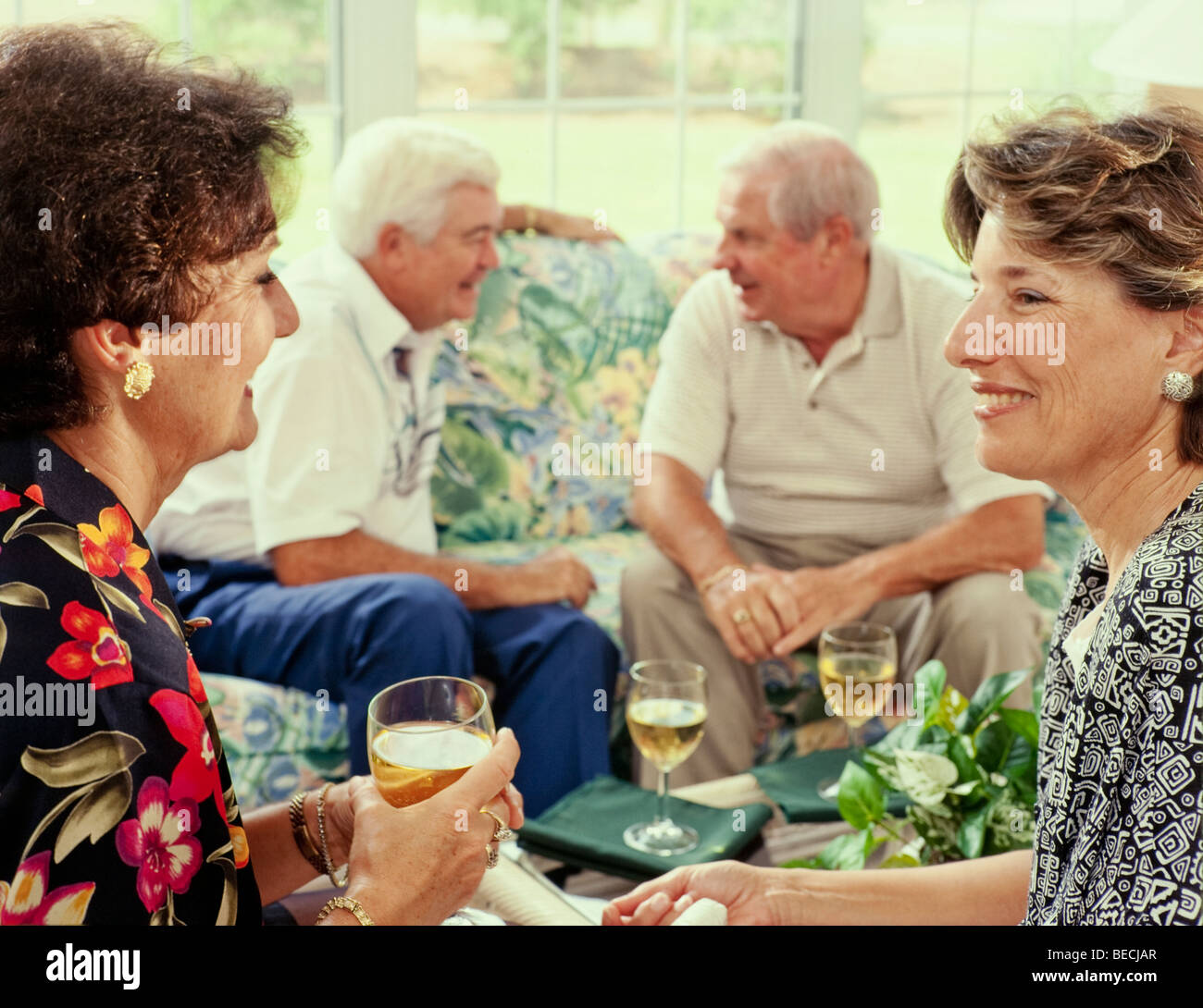 Gruppo di senior a socializzare con un drink in casa Foto Stock