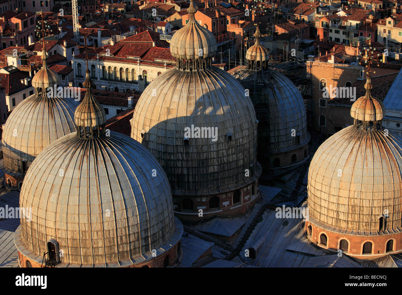 L'Italia, Venezia, Piazza San Marco la Basilica di San Marco, cupole, cupole Foto Stock