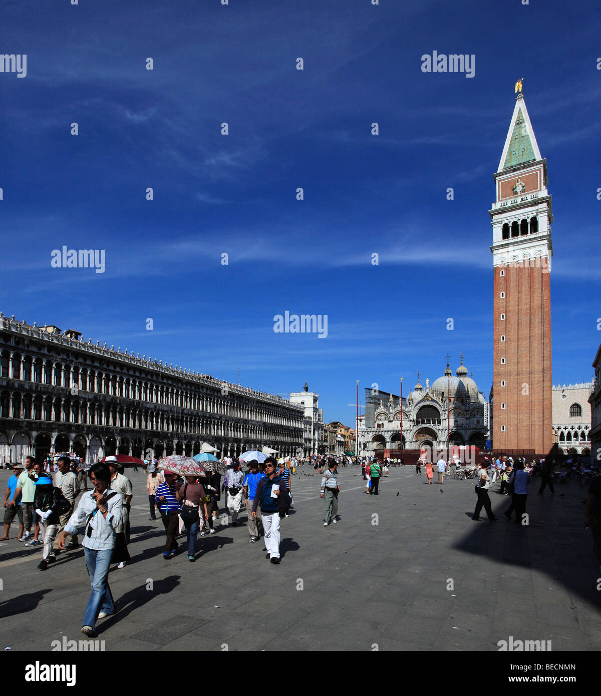 L'Italia, Venezia, Piazza San Marco, la basilica, il campanile Foto Stock