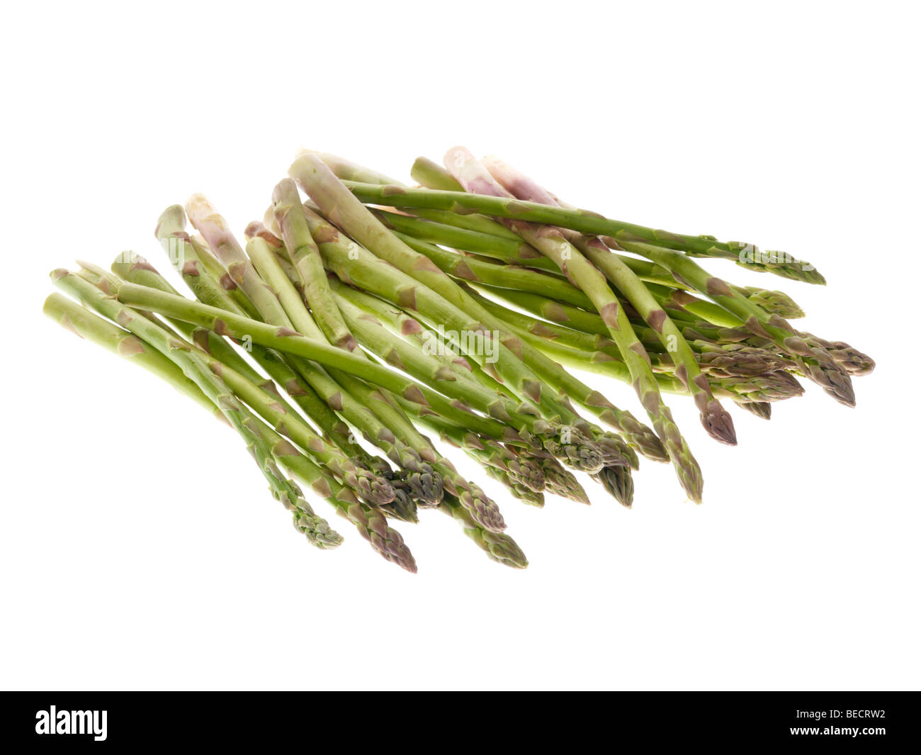 Gli asparagi Spears Foto Stock