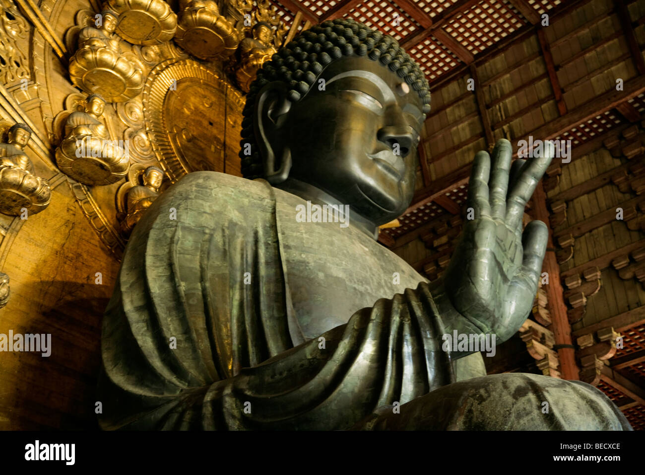 Daibutsu - Grande Buddha a Nara Foto Stock