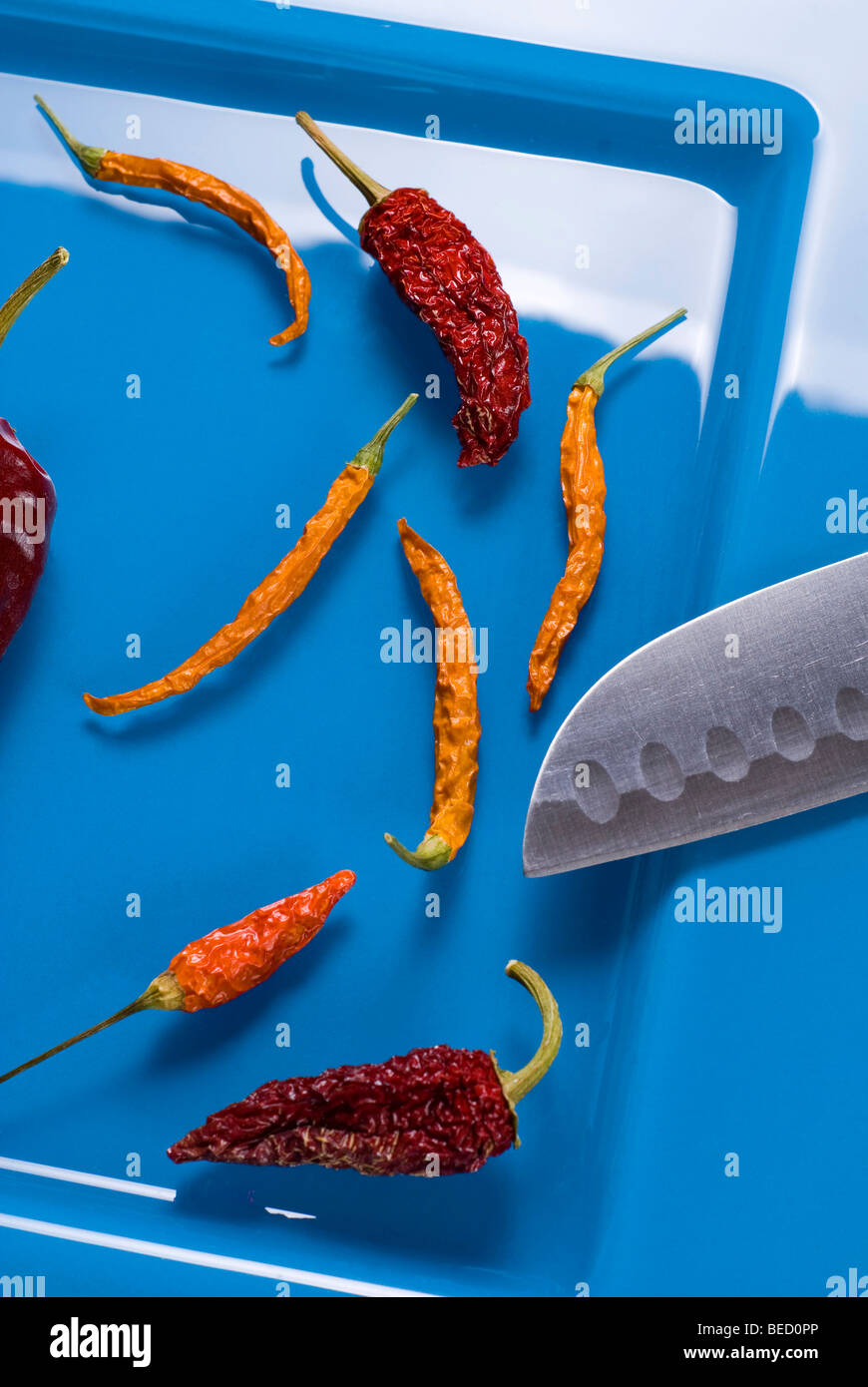Peperonccini secchi, tagliente coltello giapponese, piastra blu Foto Stock