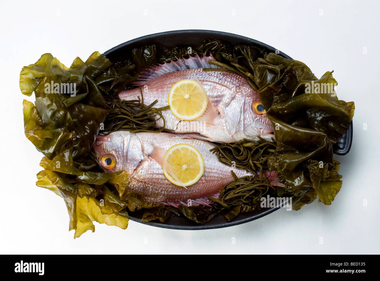 Pagello fragolino (Pagellus erythrinus) sulla cinghia del mare (alga Laminaria saccarina) con fettine di limone Foto Stock