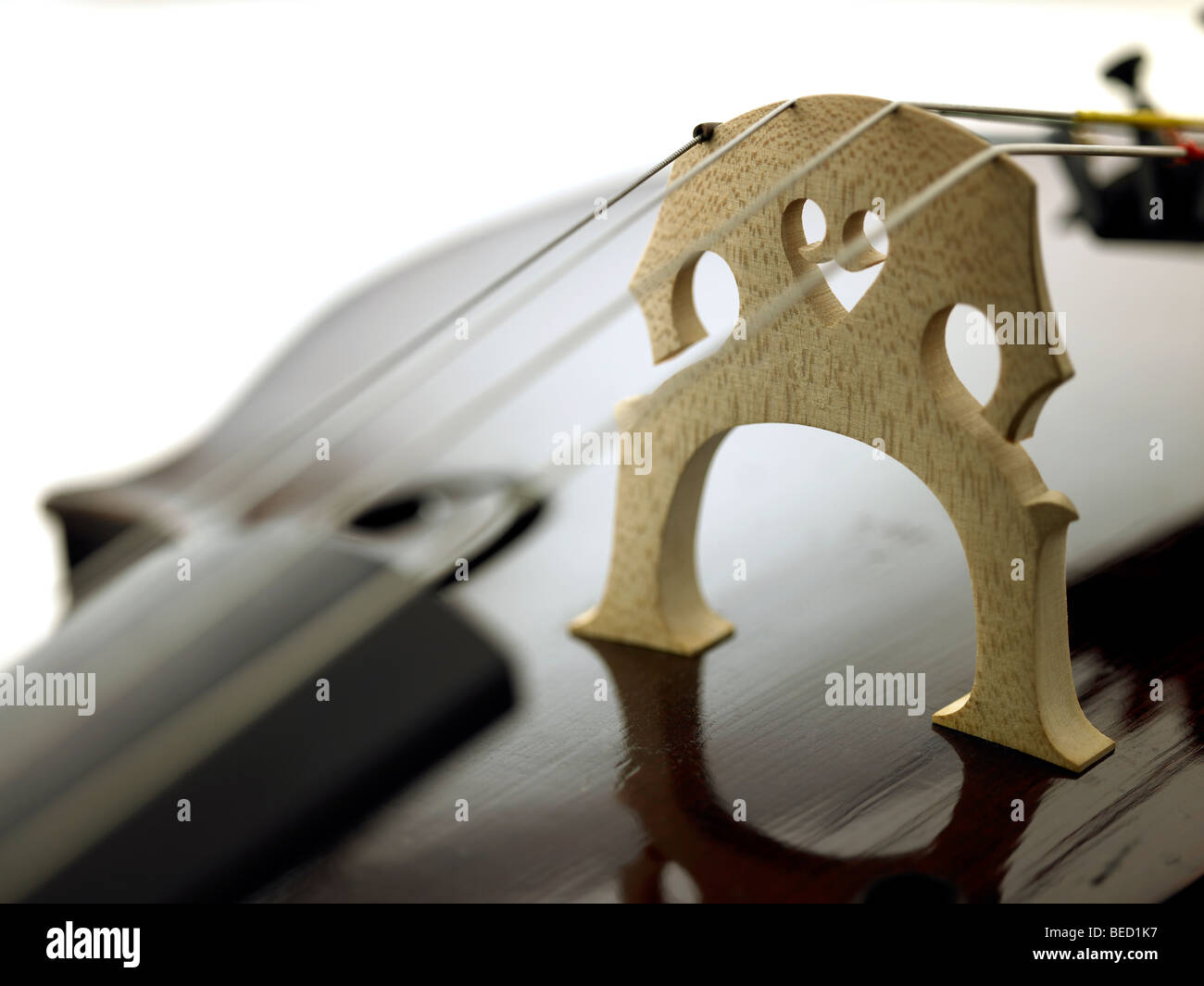 Ponte di violoncello e stringhe Foto Stock