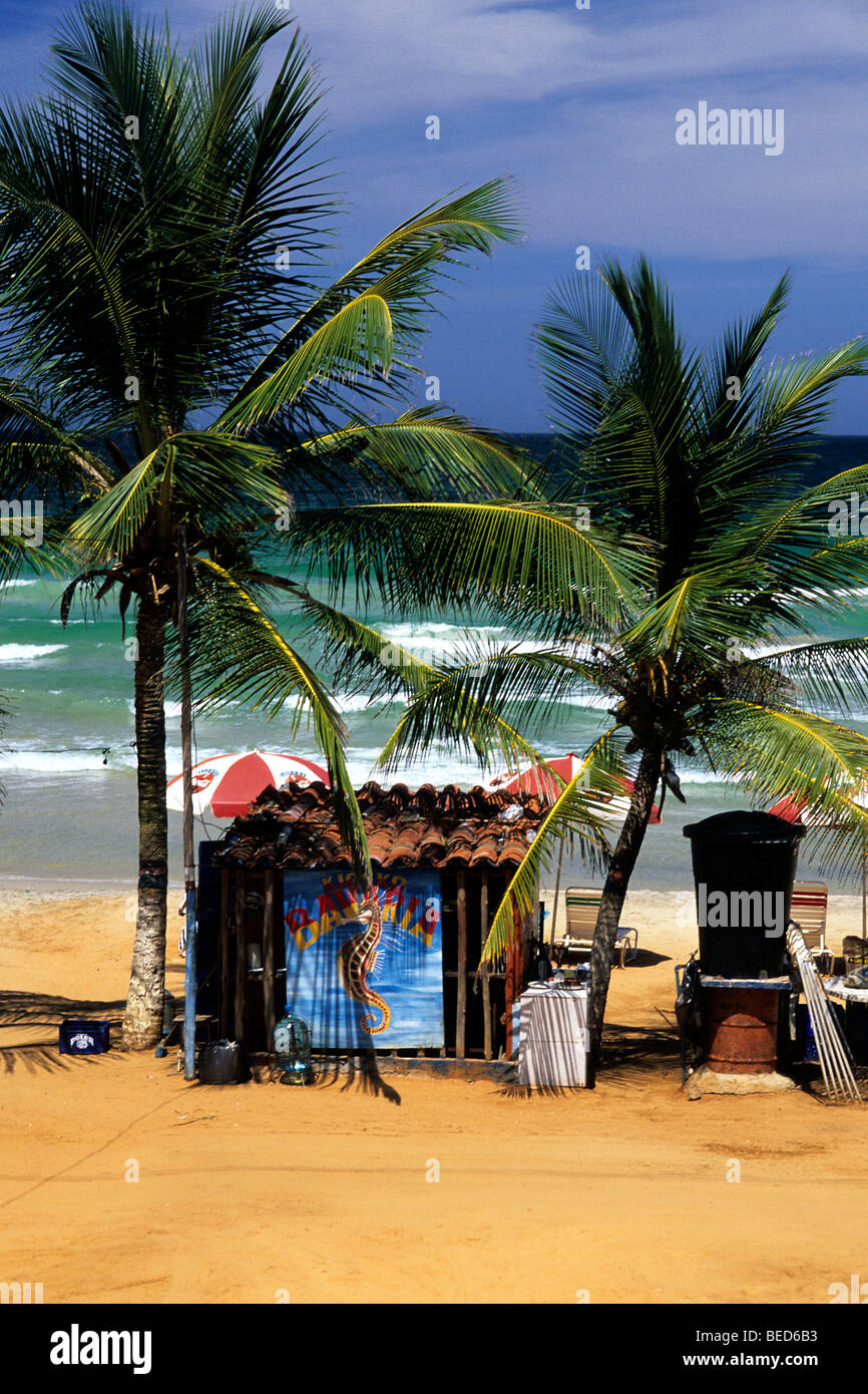 Capanna sotto le palme sulla spiaggia, Playa Guacuco sulla costa caraibica, Isla de Margarita, caraibi, Venezuela, Sud America Foto Stock