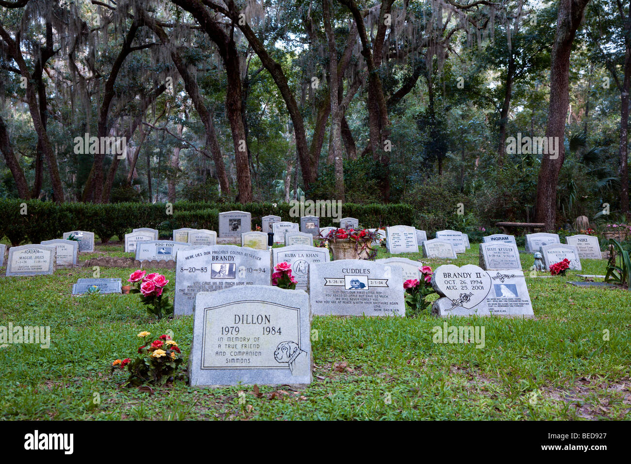 Lapidi con fiori in ricordo di animali domestici in un cimitero di Pet nella Florida Centrale, STATI UNITI D'AMERICA Foto Stock