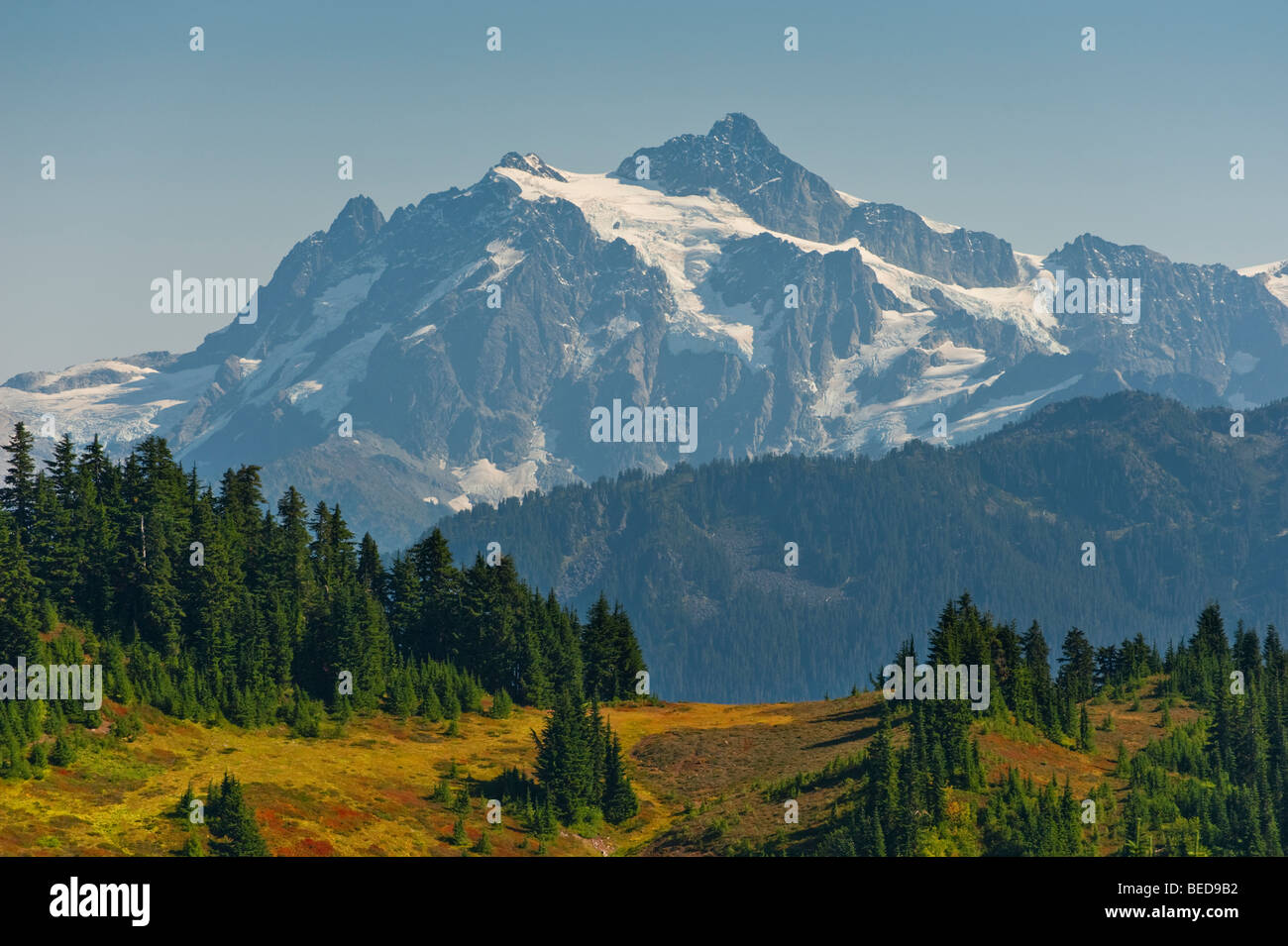 L'Excelsior Ridge trail offre delle vedute favolose del Mt. Baker e Mt. Shuksan trovata nel Mt. Baker National Forest. Foto Stock