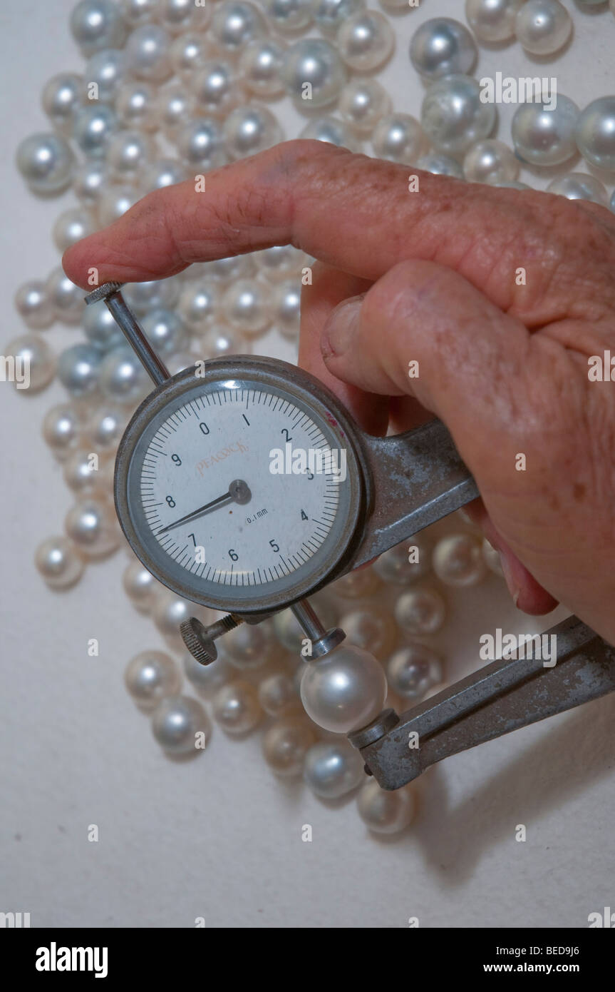 Misurare le dimensioni delle perle coltivate su Pearl Farm in Australia Occidentale Foto Stock