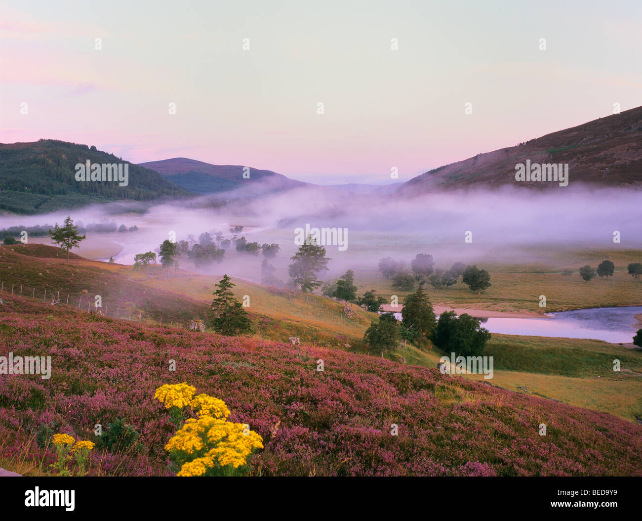 Atmosfera mattutina presso Dee Valley con il fiume Dee, Braemer, Scotland, Regno Unito, Europa Foto Stock