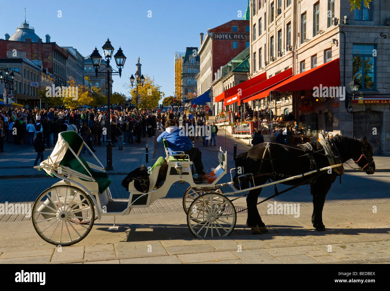 Carrozza a cavallo Jacques Cartier Square Montreal, Canada Foto Stock