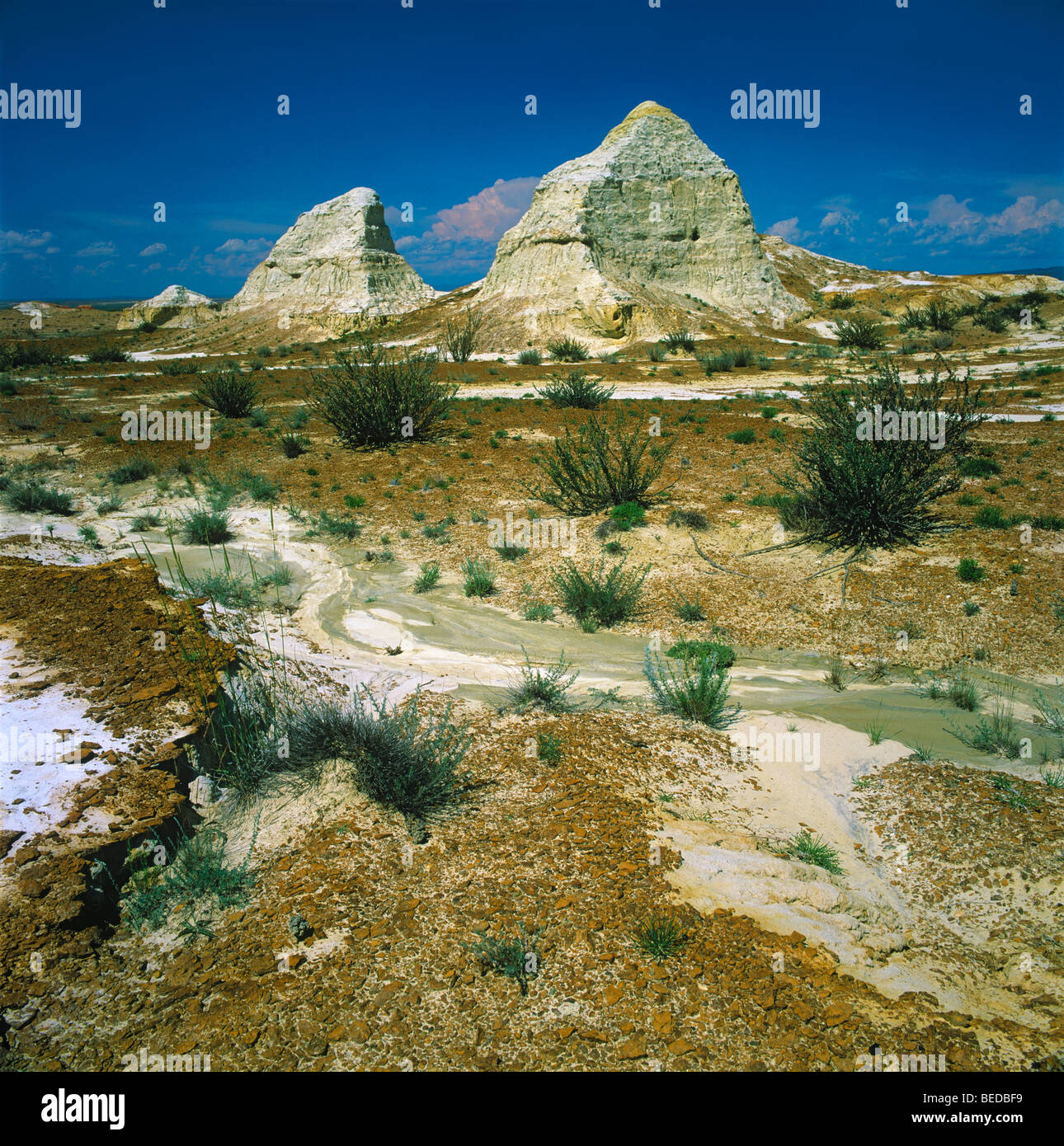 White argille con fossili paleontologici di montagna Kiin-Kerish. Zaisan depressione, Kazakistan orientale Foto Stock