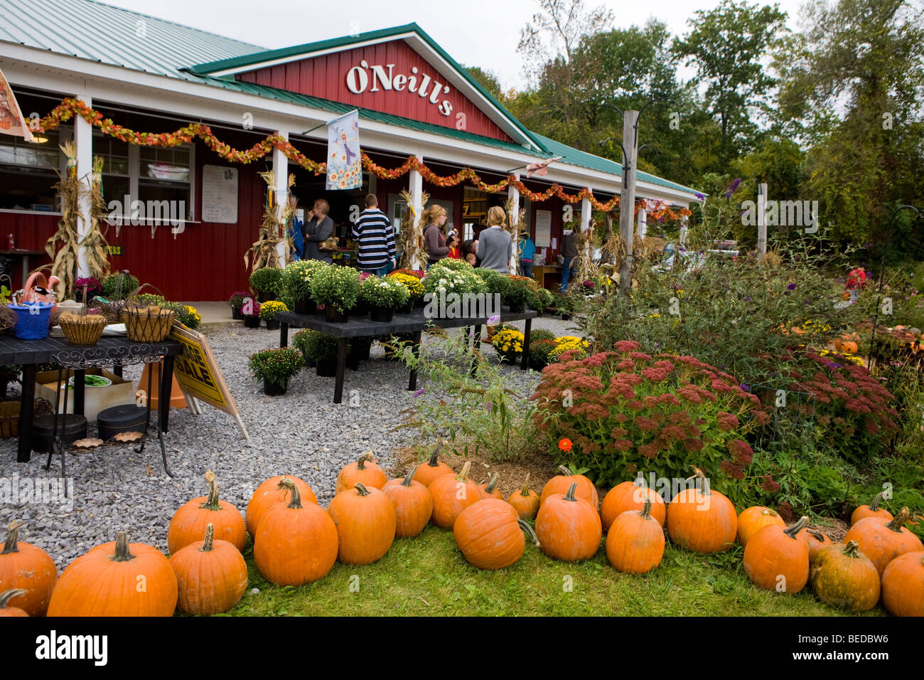 La folla in coda per frittelle di mele O'Neill's Orchard farm stand Lafayette, nello Stato di New York, Onondaga County Foto Stock