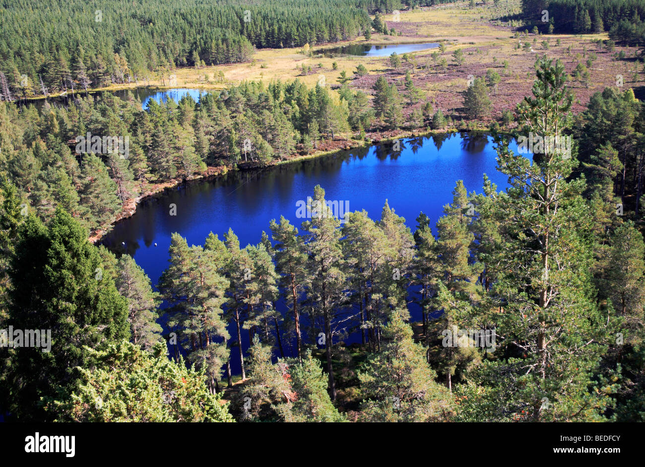 Vista di Uath Lochan dalla rupe Farleitter, vicino a Aviemore, Inverness-shire, Scotland, Regno Unito. Foto Stock