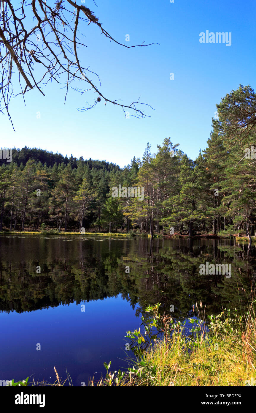 Riflessioni in Uath Lochan, vicino a Aviemore, Inverness-shire, Scotland, Regno Unito. Foto Stock
