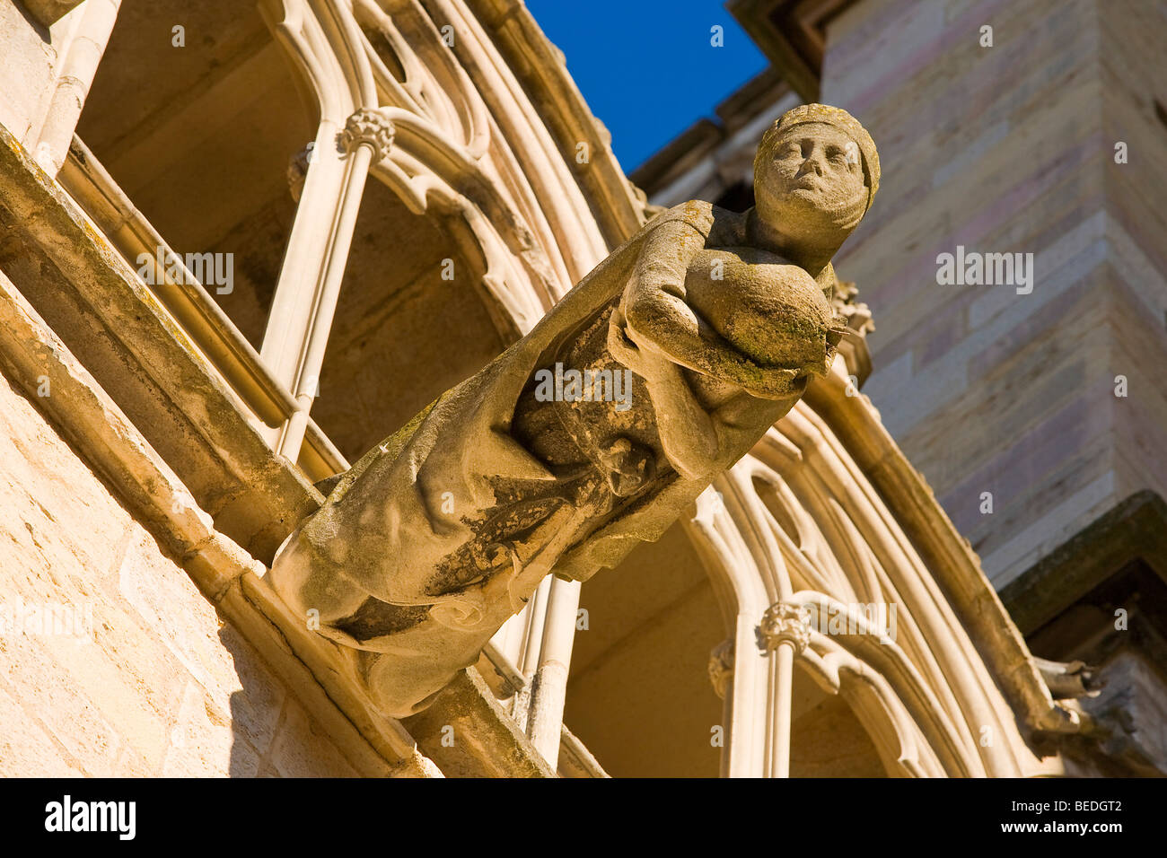 SAINT-BEGNIGNE CATTEDRALE, Digione Foto Stock