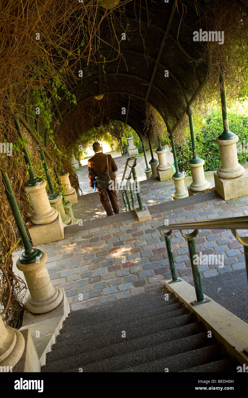 Il parco di Belleville, Parigi Foto Stock