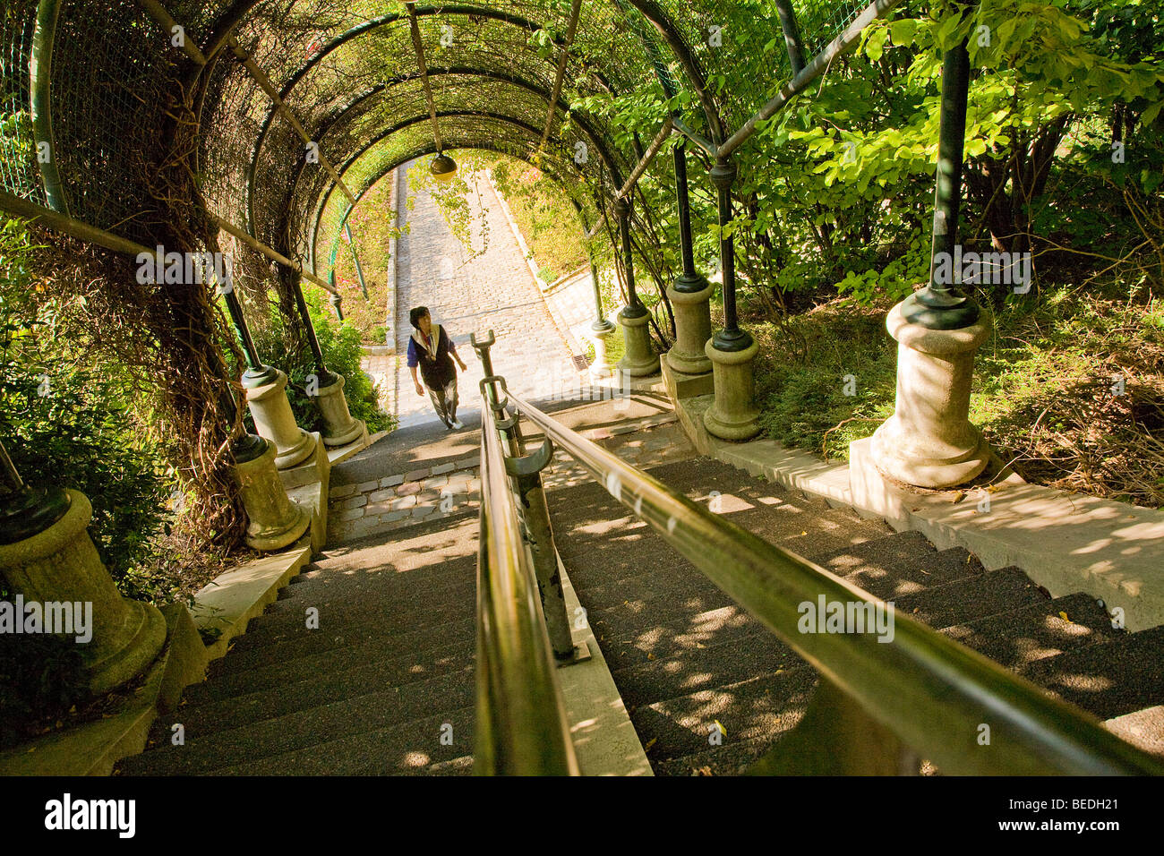 Il parco di Belleville, Parigi Foto Stock