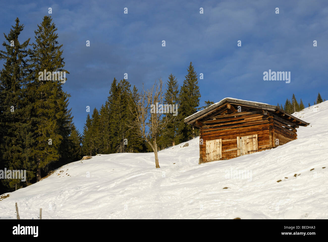 Pagliaio fatto di grezzo di travi in legno, alpine paesaggio invernale, Wildschoenau, Tirolo, Austria, Europa Foto Stock