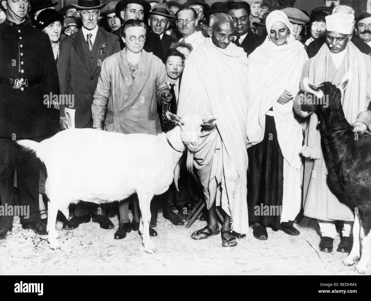 Il Mahatma Gandhi, centro si erge con capre come una folla di gente guarda. Foto Stock