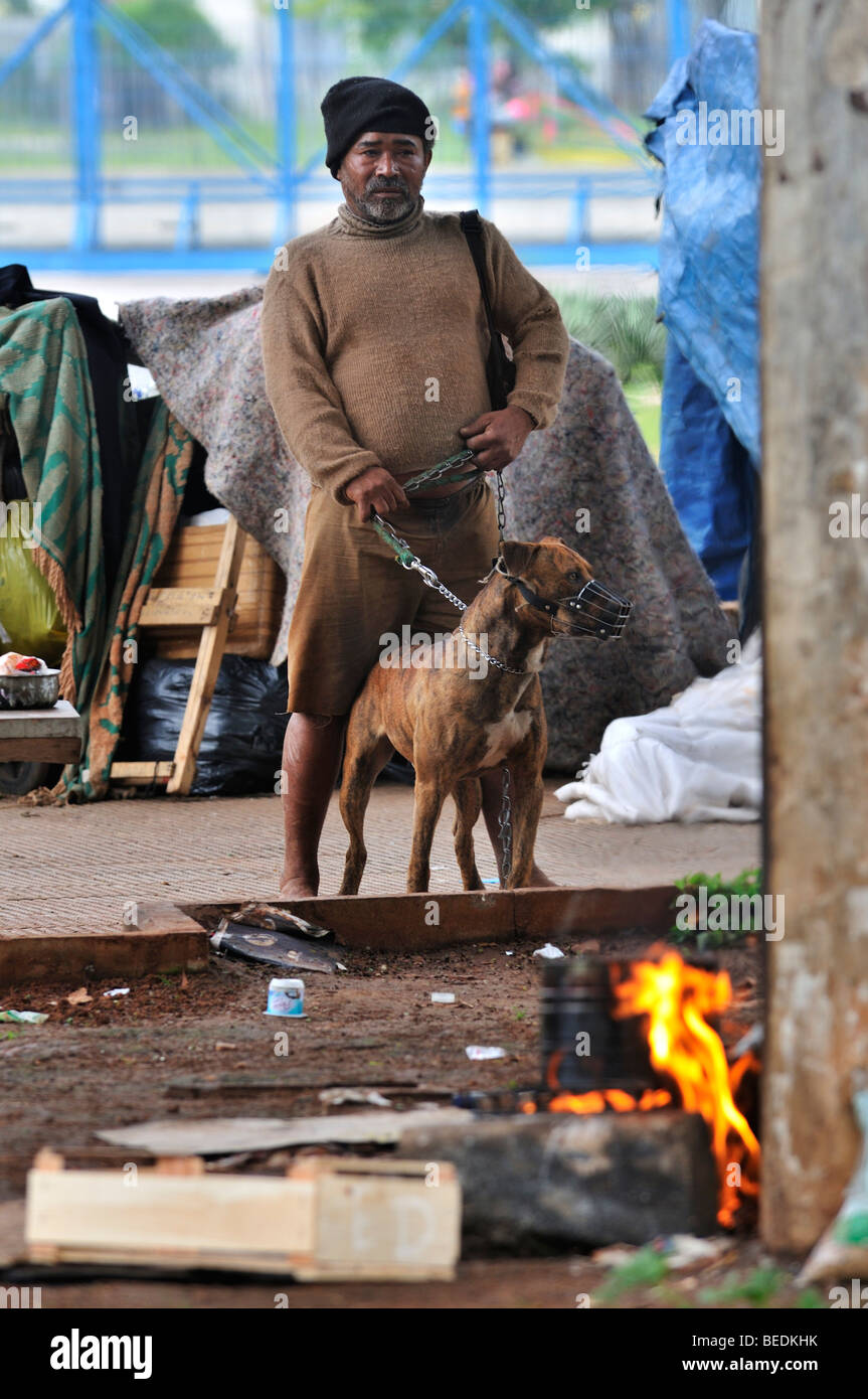 Il vecchio uomo senza tetto, proteggere i suoi beni con un Pit Bull Terrier, reggiseni distretto, Sao Paulo, Brasile, Sud America Foto Stock