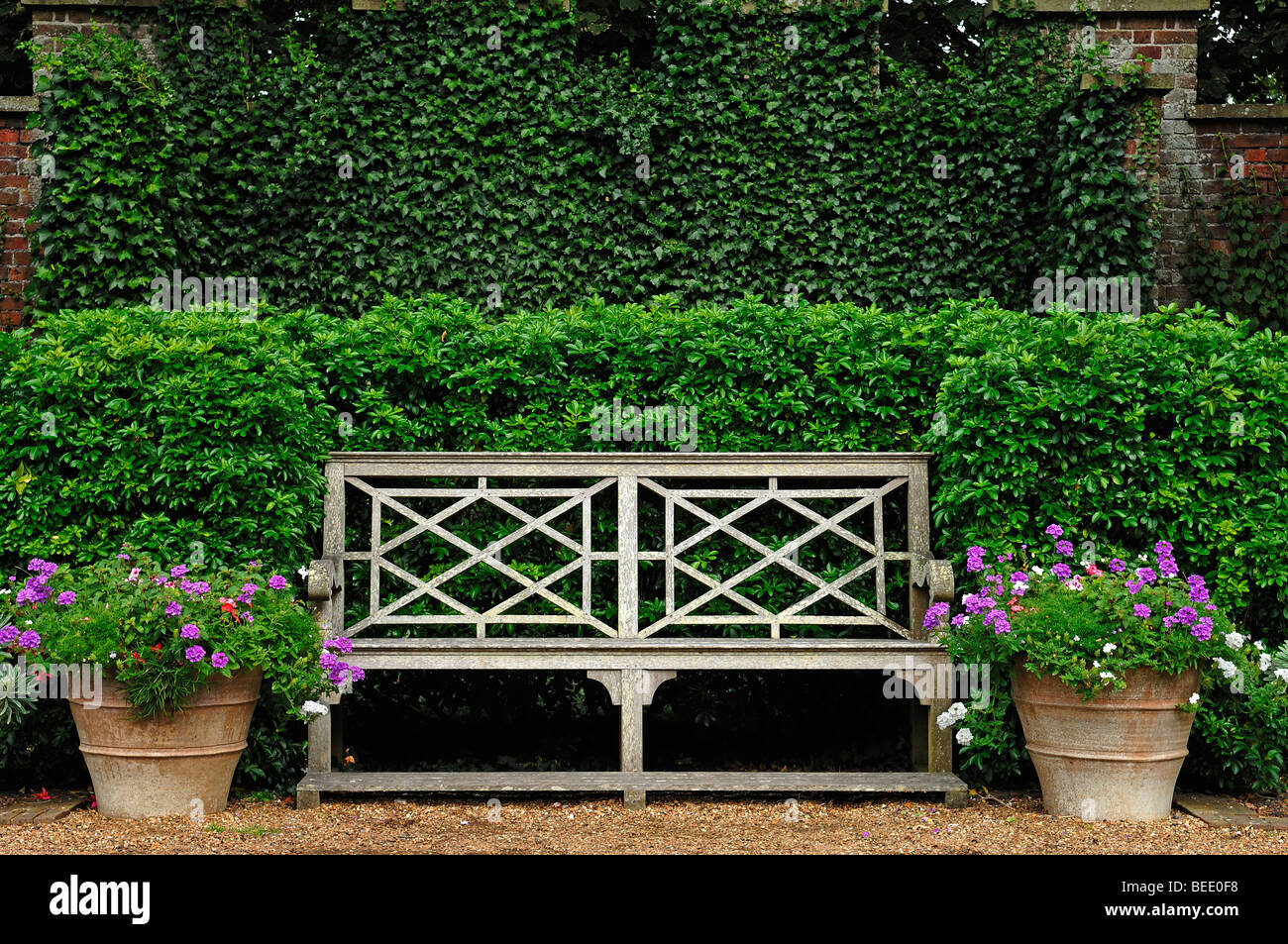 Vecchia panchina da giardino con due fiori secchi nel parco di Walmer Castle, 1540, nel retro edera (Hedera helix Linnaeus) su una parete, Foto Stock