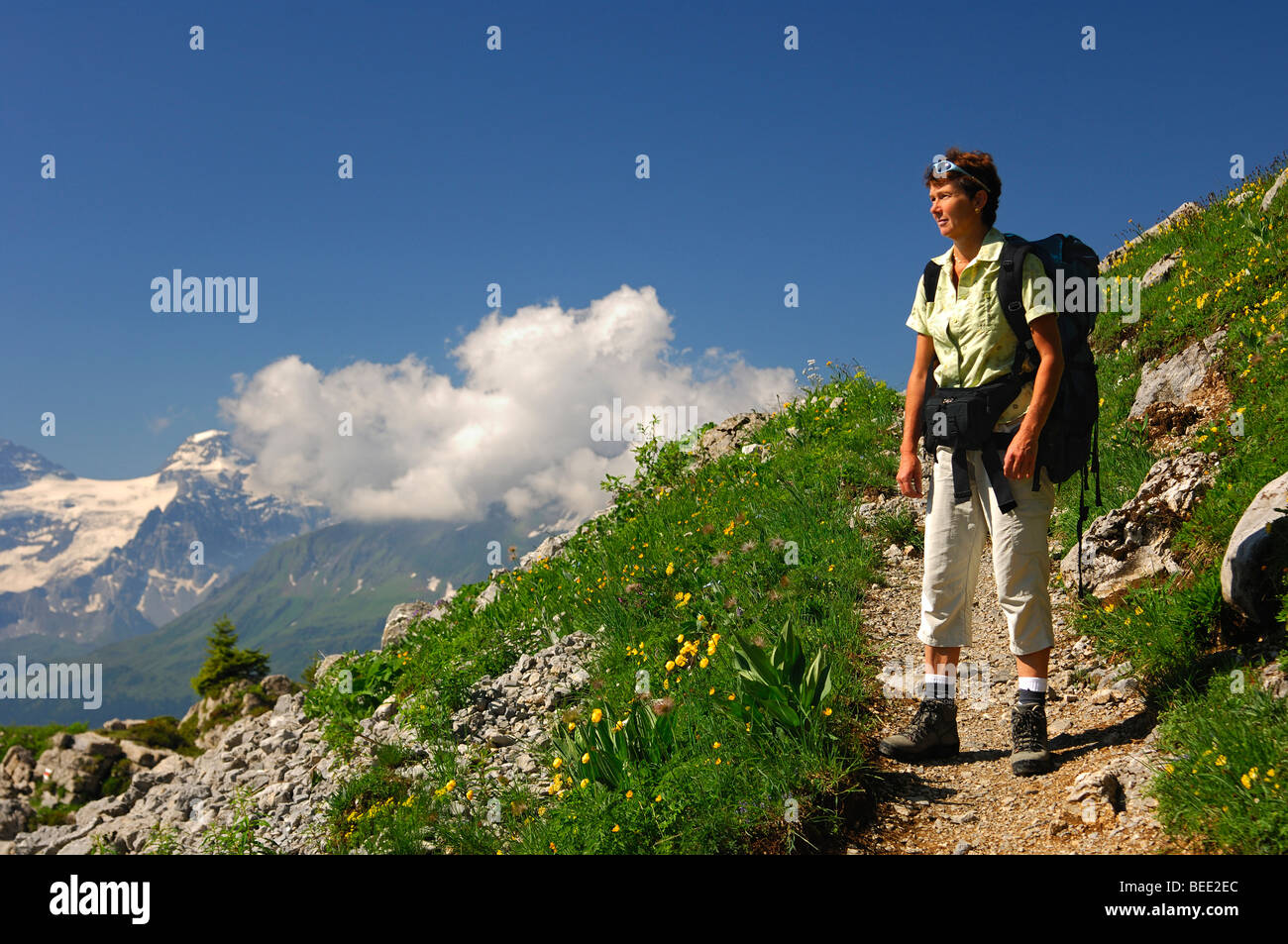 Donna in un tour escursionistico, Grindelwald, Oberland Bernese, Svizzera Foto Stock