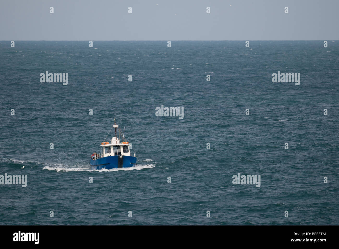 Il Dale Princess traghetto che trasporta persone da Il Pembrokeshire terraferma all'Isola Skomer Foto Stock