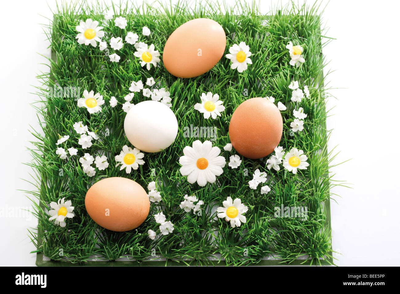Tre uova marrone e uno bianco su un fiore artificiale prato Foto Stock