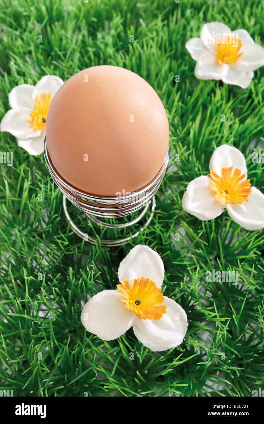 Brown uovo in un filo uovo cup, su un fiore artificiale prato Foto Stock