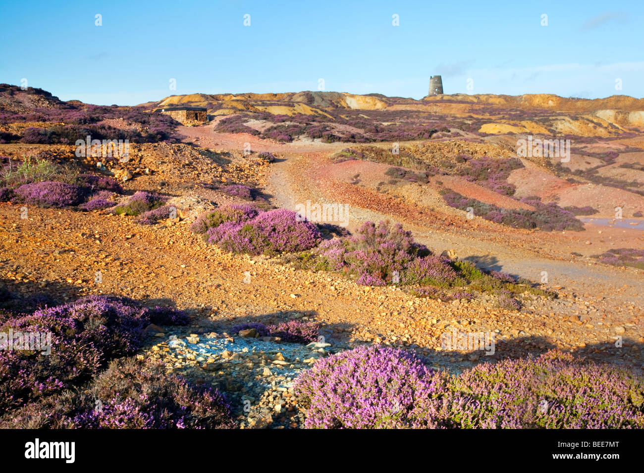 I resti di Parys Mountain Amlwch miniera di rame sull'Isola di Anglesey, ex miniera di rame è ora un carattere pubblico riserva. Foto Stock