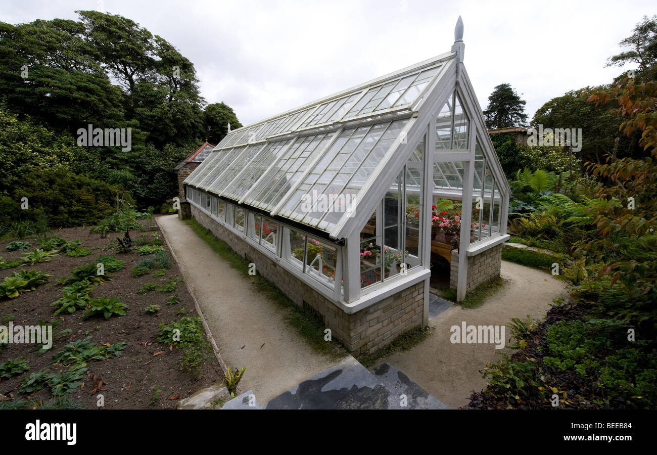 Gerani in serra - Lost Gardens of Heligan, Cornwall. Foto Stock