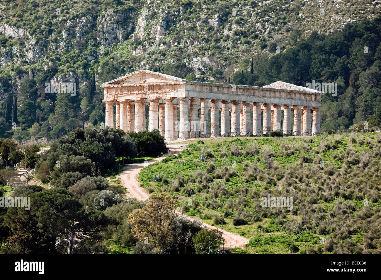 Tempio dorico di Segesta, vista generale, Sicilia, Italia, Europa meridionale Foto Stock