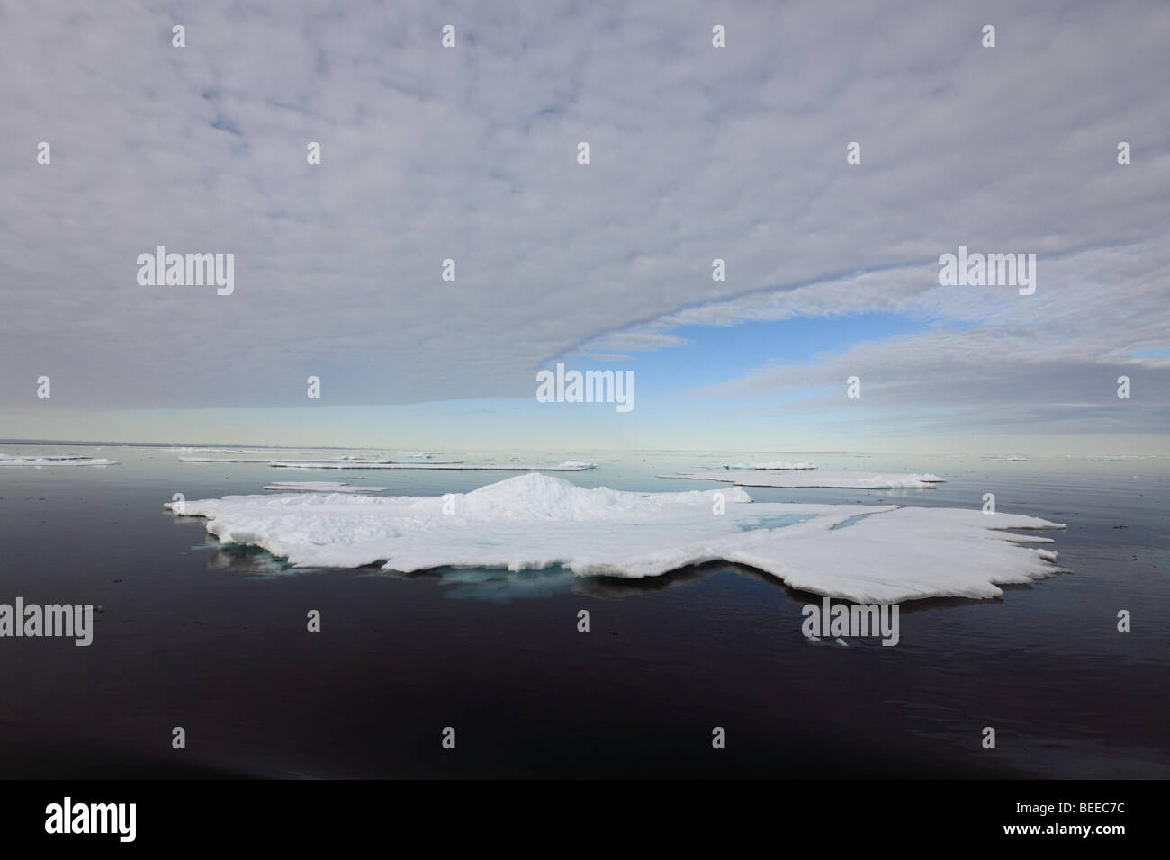 Pack ghiaccio nell'Oceano Artico nord delle Svalbard Foto Stock